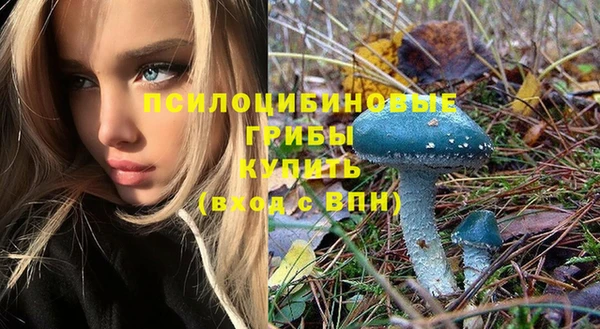 амф Алексеевка