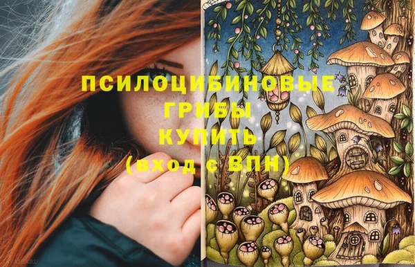 героин Алексин