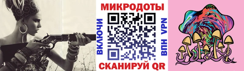 Галлюциногенные грибы Psilocybe  blacksprut как зайти  Елец 