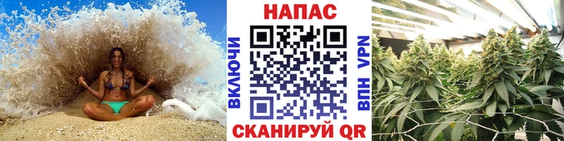 Шишки марихуана MAZAR  omg зеркало  Елец 